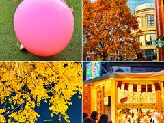 -天津君隆威斯汀酒店