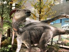 -湖南省地质博物馆