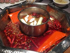 -蜀九香火锅(九眼桥店)