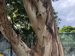 -滇池海埂公园