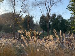 -南京市江宁方山