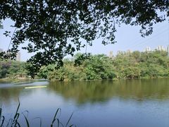 -重庆彩云湖湿地公园