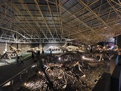 -世界恐龙谷景区