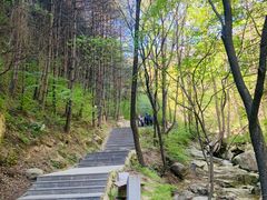 -王顺山国家森林公园