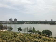 -松山湖凯悦酒店·Café自助餐厅·周末火舞秀表演