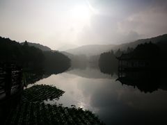 -庐山风景区花径公园