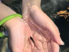 -水底山庄园温泉