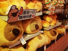 -首开·龙湖成都西宸天街