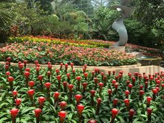 -南山植物园