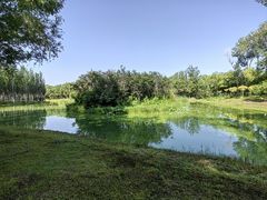 -东郊湿地公园