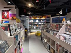 -浣熊唱片店(上海影城店)