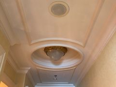 -广州富力丽思卡尔顿酒店