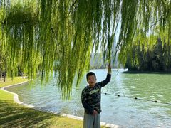 -天鹅湖体育公园
