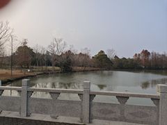 -上海海湾国家森林公园