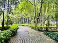 -兰亭风景区