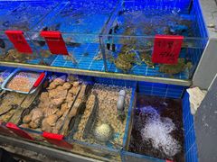-金海湾海鲜排档(朱家尖店)