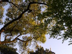 -浙江西子宾馆·牡丹厅