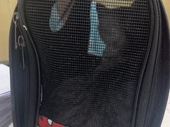 -瑞鹏宠物医院犬猫全科(真大分院)