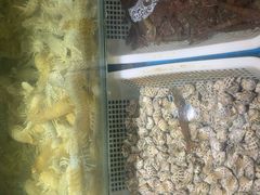 -福建美食城(老君堂店)