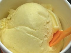 -iceason爱茜茜里·意大利健康冰淇淋(骑龙巷店)