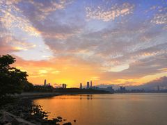 -欢乐海岸椰林沙滩-2025湾区超级灯会