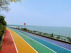 -贡湖湾湿地公园