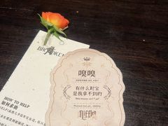 -ANOTHERLIFE 来生