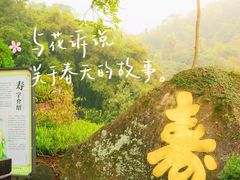 -天鹿湖森林公园