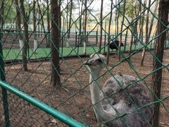 -大连铭湖国际观光牧场