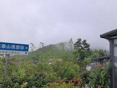 -蘇河湾·新鲁菜·泰山宴(泰山店)
