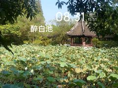 -上海醉白池公园
