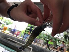 -小象钓虾·营地烧烤(洛溪店)