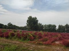 -汉长安城未央宫国家考古遗址公园