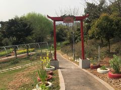 -三岔湖环球融创天堂洲际酒店水乐园