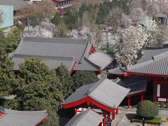 -大慈恩寺(大雁塔)