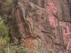 -正宗火盆自助烧烤·烤全羊·柴火鸡(龙泉山店)