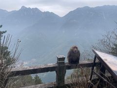 -九华山风景区