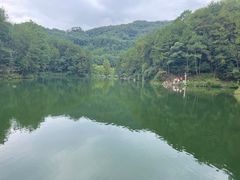 -缙云山景区