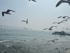 -星海广场