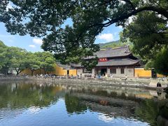-阿育王寺
