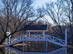 -上海共青森林公园