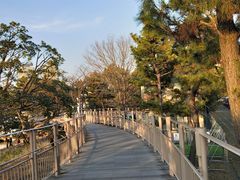 -台场海滨公园船码头
