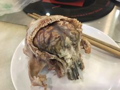 -洪记白水羊头(天坛店)