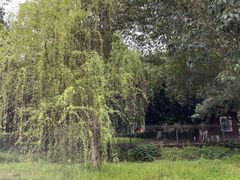 -张坝桂圆林公园