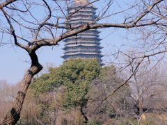 -红梅公园