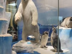 -国家自然博物馆