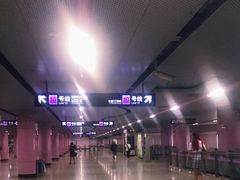 -一大会址·新天地(地铁站)