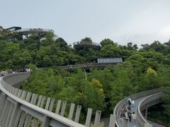-福道