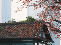 -喜洲吧·江畔老船厂·庭院餐厅(喜临院店)