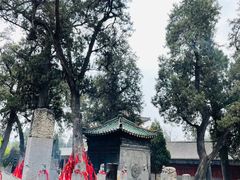 -关林